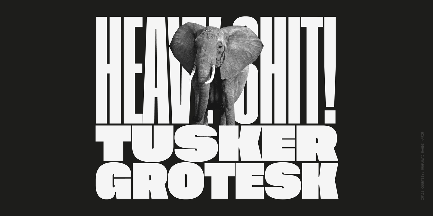 Ejemplo de fuente Tusker Grotesk #1